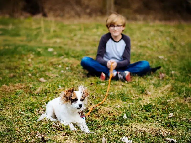 Kind mit Hund an der Leine