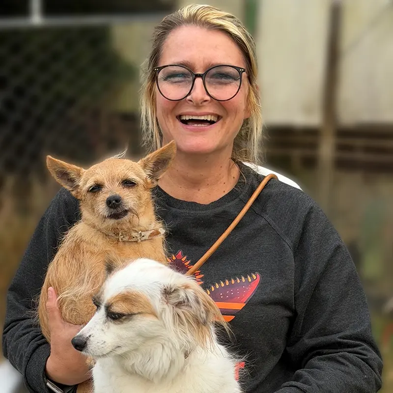 Emma, einer der Hunde von Steffi Schäfer
